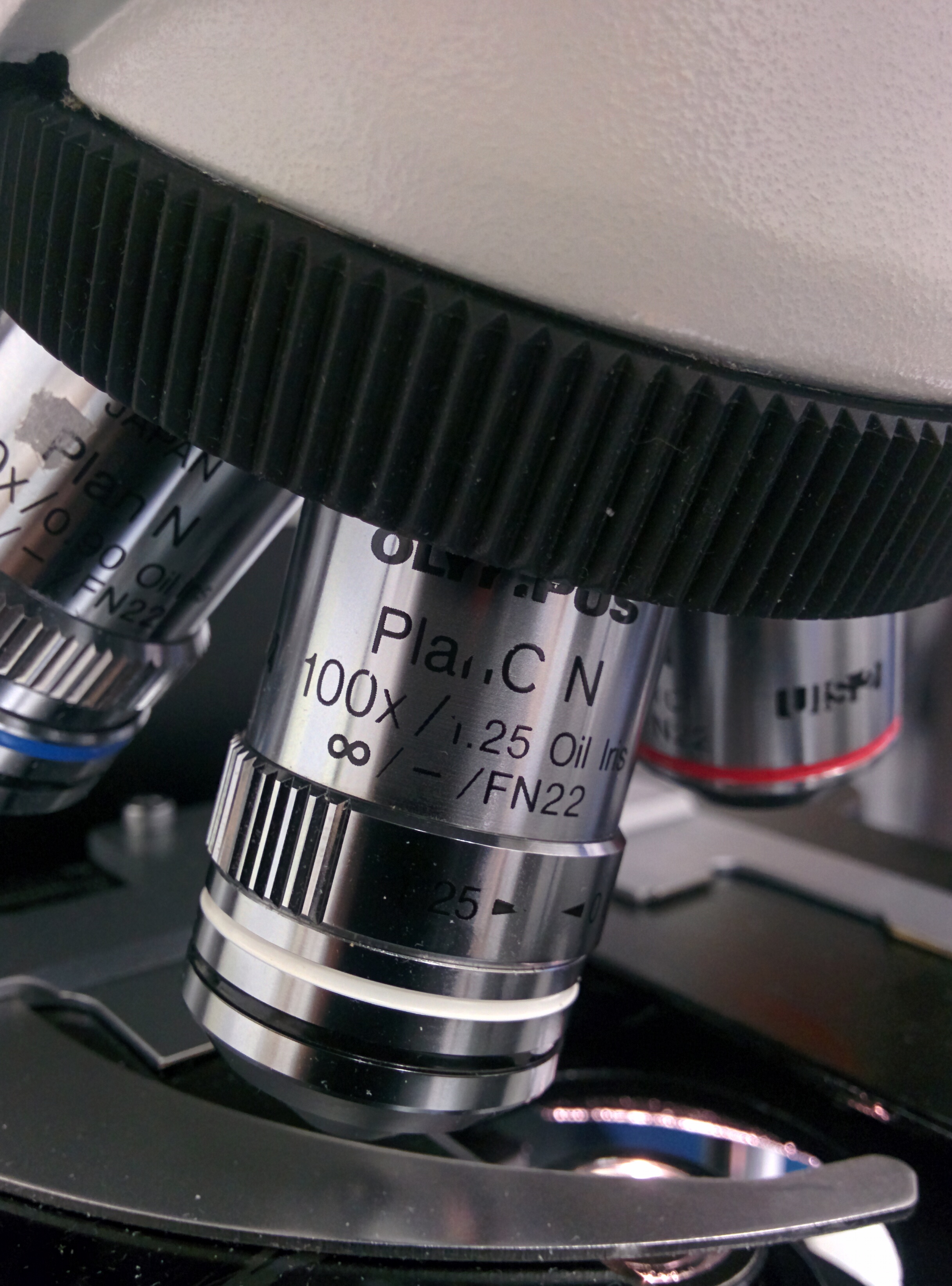 microscope